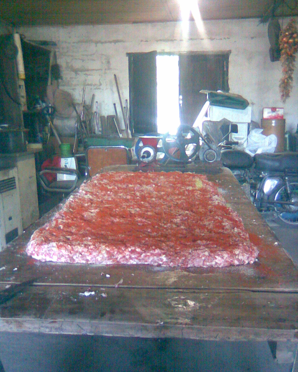 fotos/2009-06-10 - Carneada/Imagen035.jpg